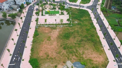 Hanoi is about to auction off a series of land plots.