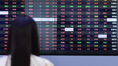 Vingroup withdraws its proposal, causing THACO and Hoa Phat stocks to surge.