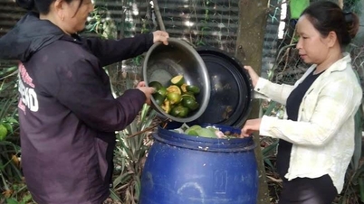Binh Chinh köyündeki kadınların "yeşil" modeli.