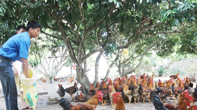 Mata pencarian mampan untuk pengurangan kemiskinan di Yen
