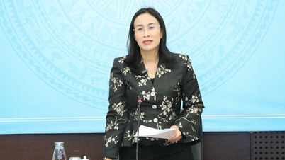 Nesten 6500 stemmer ble avgitt for den nye logoen til Da Nang by.
