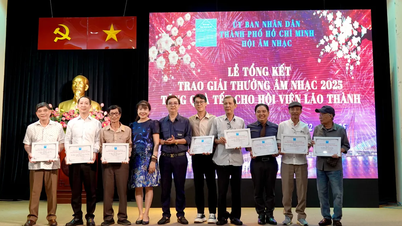 Ho Chi Minh Citys musikförening kommer att dela ut 29 musikpriser under 2025.