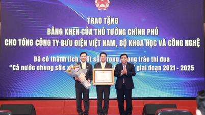 Vietnam Post, yeni kırsal kalkınma hareketine yaptığı katkılardan dolayı Başbakan tarafından Takdir Belgesi ile ödüllendirildi.