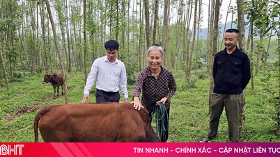 รูปแบบการดำรงชีวิต – "เครื่องมือ" ที่จะช่วยให้ Ky Thuong บรรลุเป้าหมายการลดความยากจนอย่างยั่งยืน