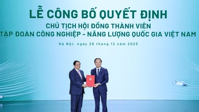 El Primer Ministro nombró al Sr. Le Ngoc Son como Presidente del Consejo de Administración de Petrovietnam.