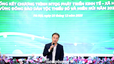 많은 청년 주도 활동들이 농촌 지역과 마을의 모습을 변화시키는 데 도움을 주고 있습니다.