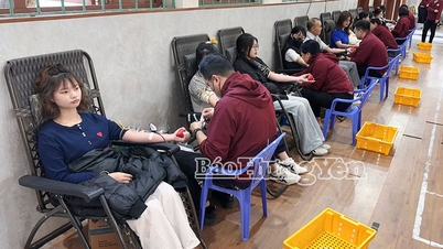 Thai Binh Öğretmen Eğitim Koleji'nde gönüllü kan bağışı günü.