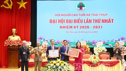 Thai Thuy Komünü Yaşlılar Derneği, 2026-2031 dönemi için Genel Kurulunu gerçekleştirdi.