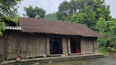 Cuatro miembros del pueblo ruc de la provincia de Quang Tri saltan al escenario mundial gracias a su película, que ganó el premio Leopardo de Oro de Locarno.