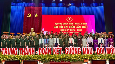 Der Provinzveteranenverband Tay Ninh tritt seine neue Amtszeit mit Entschlossenheit und Entwicklungsambitionen an.