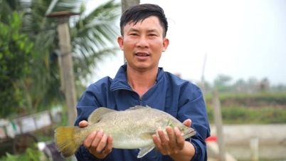 Phát triển kinh tế VAC trong kỷ nguyên xanh và tuần hoàn