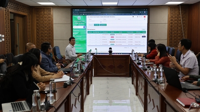 The Son La Department of Agriculture and Environment is conducting a survey and trial of a digital ecosystem for the agricultural sector.