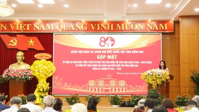 Dong Nai Provincial Delegation of National Assembly Deputies: Maintaining close ties with constituents and enhancing the effectiveness of parliamentary activities.