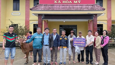 Mendermakan lembu ternakan kepada mangsa banjir.