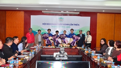 Gimnastik Vietnam mengatasi cabaran dan mencapai kejayaan.