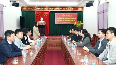 El Comité del Frente Patriótico de Vietnam de la provincia recibió donaciones para apoyar a la gente de las regiones Central y Altiplanicie Central a superar los daños causados ​​por las inundaciones y el tifón Nº 10.
