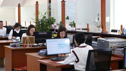 Revenue collection reached a high level, and the State Treasury reduced its number of administrative units by 465 after streamlining.