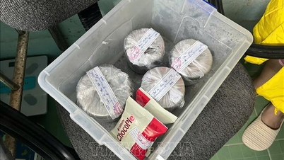 Hue: Ocho estudiantes informaron haber vomitado después del almuerzo en la escuela.