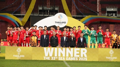 FIFA sangat menghargai visi dan momentum pembangunan bola sepak Vietnam.
