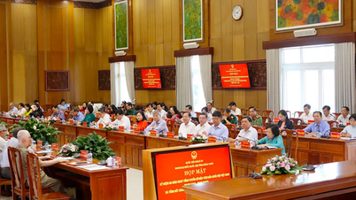 Dong Thap: Bijeenkomst ter herdenking van de 80e verjaardag van de eerste algemene verkiezingen voor de Vietnamese Nationale Vergadering.