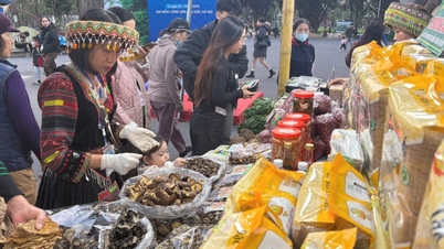 Eröffnungszeremonie der Woche zur Vorstellung und Förderung von Produkten aus ethnischen Minderheiten und Bergregionen der Provinz Cao Bang in Hanoi – Cao Bang Online-Zeitung