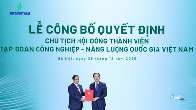 លោក ឡេ ង៉ុក សឺន គឺជាប្រធានក្រុមប្រឹក្សាភិបាលនៃ Petrovietnam។