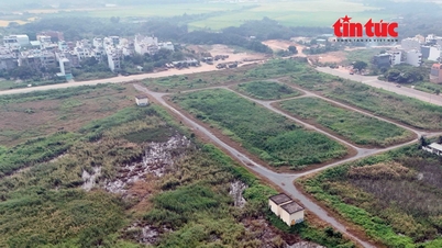 ទីក្រុងហូជីមិញអនុម័តបញ្ជីតម្លៃដីធ្លីថ្មីដែលមានប្រសិទ្ធភាពចាប់ពីឆ្នាំ ២០២៦។