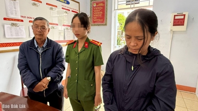 Hoang Quyen Şirketi'nin yöneticisi, 166 milyar VND'nin üzerinde dolandırıcılık suçundan yargılanarak gözaltına alındı.