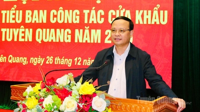 Resumen del Subcomité de Trabajo de la Puerta Fronteriza de la Provincia de Tuyen Quang en 2025