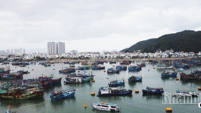 El barrio de Nha Trang Norte lanza el modelo "Grupo de trabajo para mares e islas pacíficas" dentro del sindicato de pescadores.