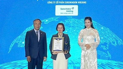 EUROWINDOW HOLDING គឺជាក្រុមហ៊ុនល្បីឈ្មោះមួយ ដែលត្រូវបានចាត់ថ្នាក់ក្នុងចំណោមនិយោជកកំពូលទាំង 500 នៅប្រទេសវៀតណាមក្នុងឆ្នាំ 2025។