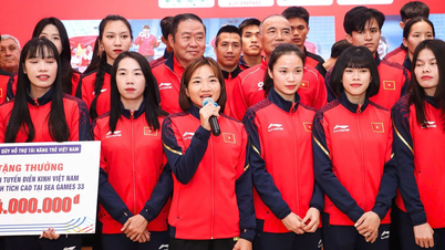 The Vietnamese athletics team received a reward of 1 billion VND for their achievements at the 33rd SEA Games.