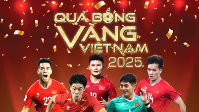 Cobertura en directo de la ceremonia del Balón de Oro vietnamita: ¿Dinh Bac o Hoang Duc?