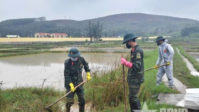 กำลังมีการดำเนินการอย่างเร่งด่วนเพื่อแก้ไขปัญหาน้ำมันรั่วไหลในตำบลวันตวง จังหวัดกวางงาย