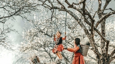 Vietnam zählt zu den 20 besten Winterreisezielen der Welt.