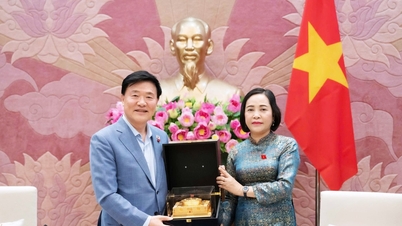 Phó Chủ tịch Quốc hội Nguyễn Thị Thanh tiếp Đoàn Viện nghiên cứu kinh tế Kimhakmin E-roun, Hàn Quốc