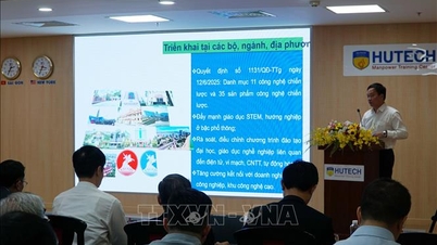 Nhân lực chất lượng cao là yếu tố then chốt trong phát triển công nghiệp bán dẫn
