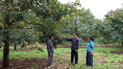 "Tonggak sokongan" yang kukuh untuk penduduk kampung Lang Son.