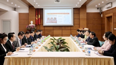 The Office of the Prime Minister of Laos works with the Vietnam Government's Electronic Information Portal.