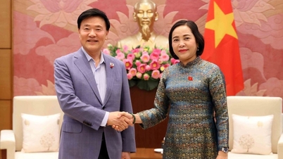 Vietnam y Corea del Sur fortalecen la cooperación económica y los intercambios locales.