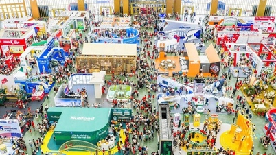 Criar um Comitê Diretivo para Feiras Comerciais Nacionais