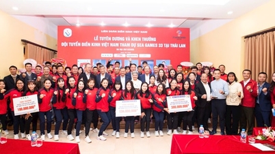 Vietnamský atletický tým po 33. hrách SEA získal na odměnách přes 1,5 miliardy VND.
