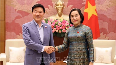 เสริมสร้างความร่วมมือทางเศรษฐกิจและการแลกเปลี่ยนในระดับท้องถิ่นระหว่างเวียดนามและเกาหลีใต้