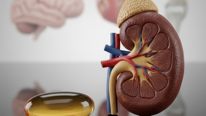 Research: Omega-3 fish oil is a 'lifesaver' for kidney patients.