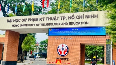 Cambiar el nombre a Universidad de Tecnología y Educación de la ciudad de Ho Chi Minh.