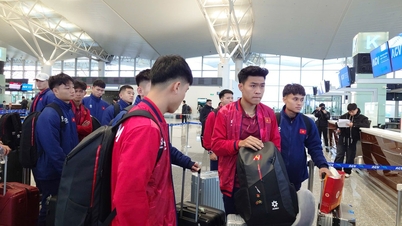 FIFA is deeply impressed by the U.22 team's SEA Games gold medal win and hopes Vietnam will soon return to the top 100 in the world rankings.