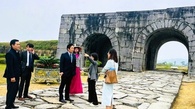 탄화성 관광 부문은 1,600만 명이 넘는 관광객을 맞이하여 46조 VND가 넘는 수익을 창출했습니다.
