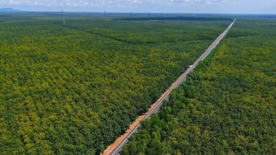 El proyecto de la autopista Ho Chi Minh, valorado en 2,3 billones de VND, ha retrasado su fecha de finalización hasta junio de 2026.