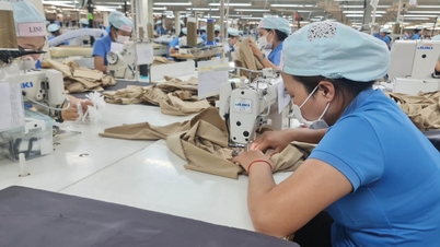 Unleashing the intellectual potential of workers.