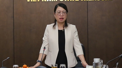 The Treasury paid out over 163.4 trillion VND to officials who resigned.